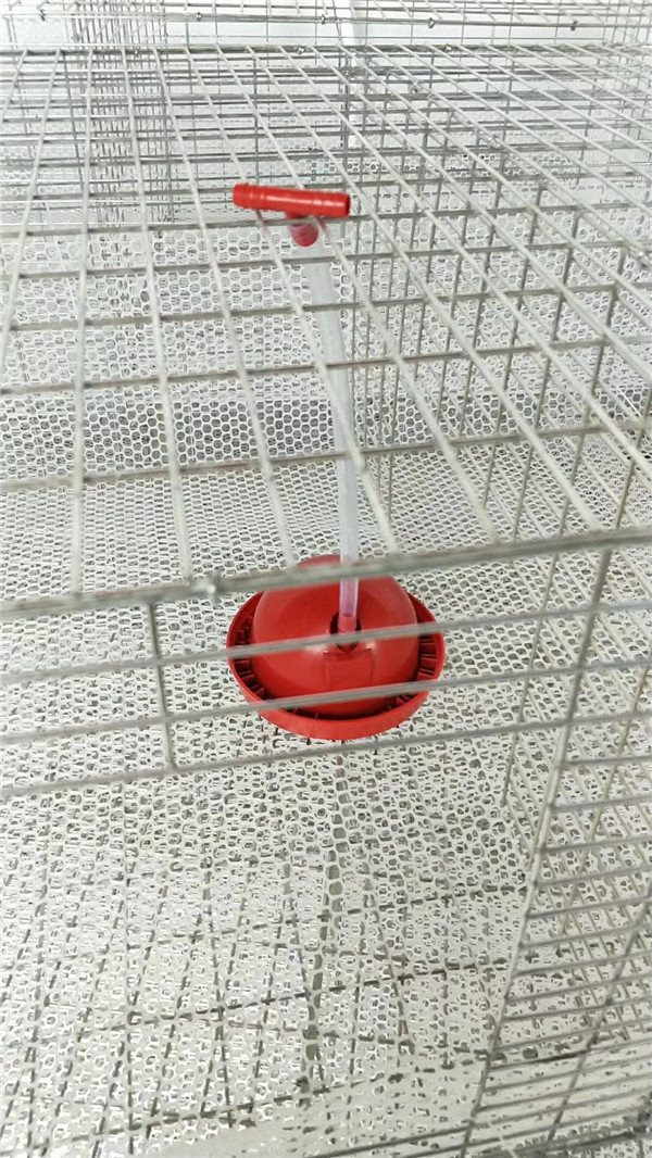 鹌鹑育雏笼