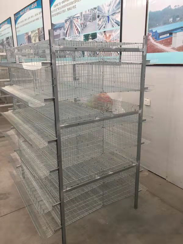 鹌鹑养殖设备