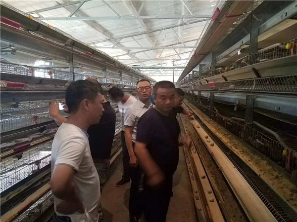 工程案例